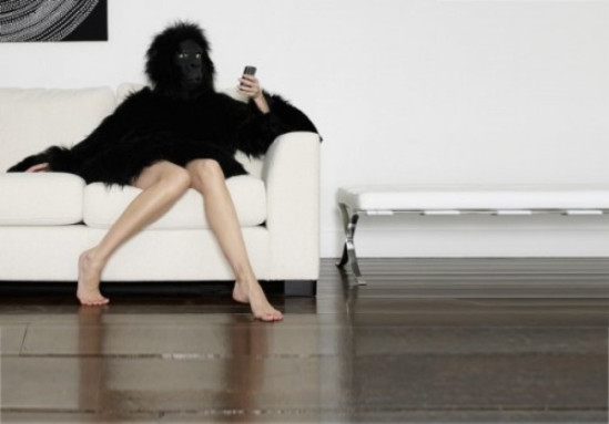 LA GUERRE DES POILS !