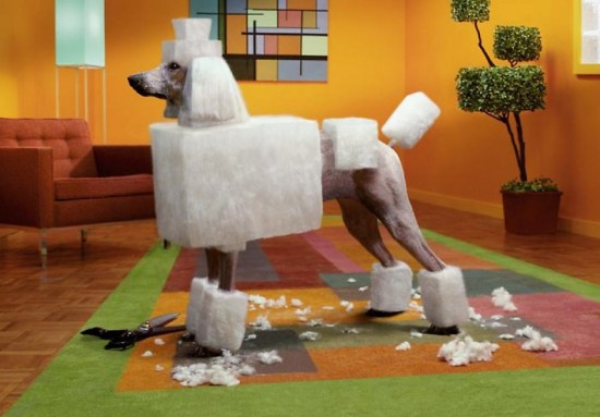 La déco bestiaire est-elle toujours tendance en 2013 ? La déco bestiaire est-elle toujours tendance en 2013 ?