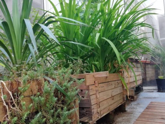 Loisirs : Atelier fabrication d'une jardinière en bois et composition d'une jardinière de balcon Loisirs : Atelier fabrication d'une jardinière en bois et composition d'une jardinière de balcon