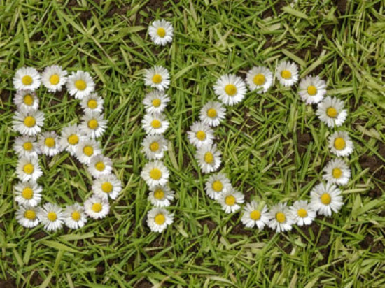 10 IDÉES REÇUES SUR LES PRODUITS DE BEAUTÉ BIO VALIDÉES (OU NON) PAR UN EXPERT