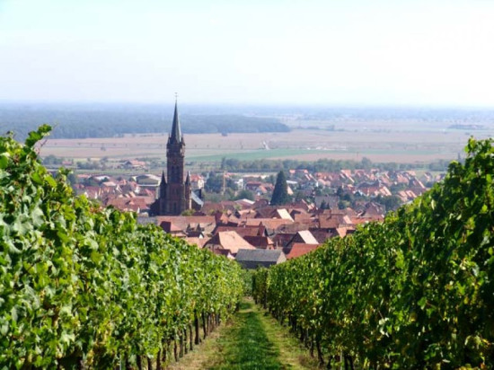 DE VIGNES EN VILLAGES, UNE BALADE ALSACIENNE DE VIGNES EN VILLAGES, UNE BALADE ALSACIENNE
