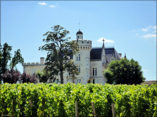 VIE DE CHÂTEAU PRÈS DE BORDEAUX VIE DE CHÂTEAU PRÈS DE BORDEAUX