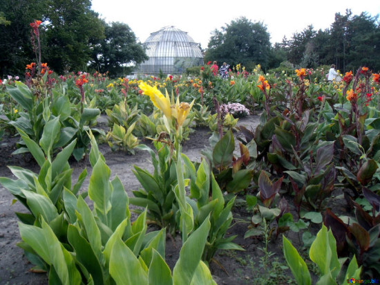 Rendez-vous vert : Atelier du jardin botanique à Caluire Rendez-vous vert : Atelier du jardin botanique à Caluire