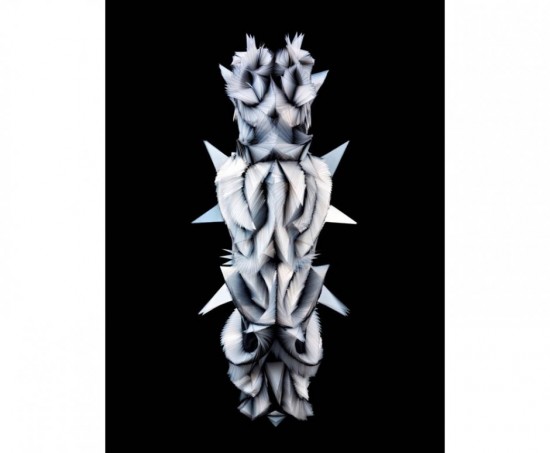 IRIS VAN HERPEN S'EXPOSE A CALAIS IRIS VAN HERPEN S'EXPOSE A CALAIS