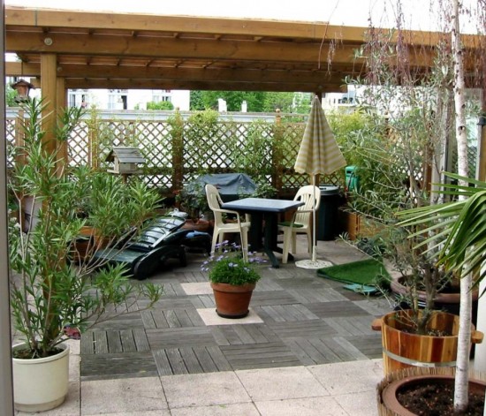 Quelles plantes pour votre terrasse ? Quelles plantes pour votre terrasse ?