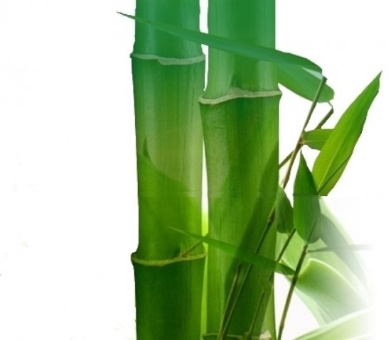 Petite pharmacie naturelle