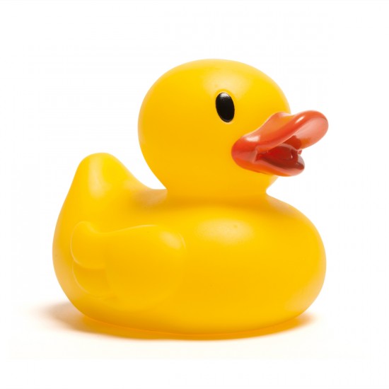 C'est parti pour la chasse aux 600 canards à Lyon !