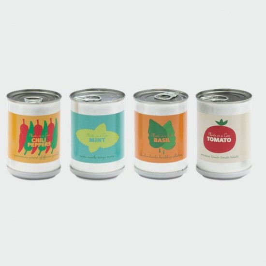 BASILIC & CO PLANTES DECORATIVES ET DESIGN BASILIC & CO PLANTES DECORATIVES ET DESIGN