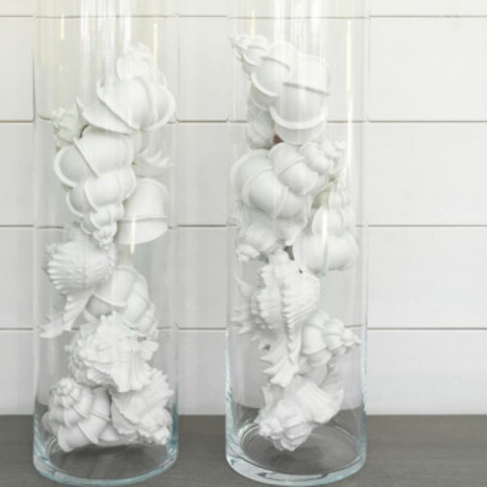 Set de 6 coquillages décoratifs Blanc d'Ivoire Set de 6 coquillages décoratifs Blanc d'Ivoire