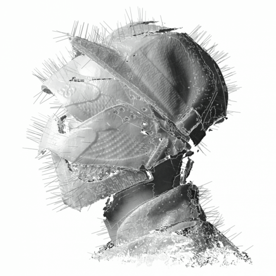 MUSIQUE : ''The Golden Age'' - Woodkid MUSIQUE : ''The Golden Age'' - Woodkid