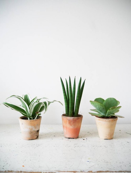 Maison Bouture s'installe au Grand Hôtel-Dieu pour un petit moment ! Maison Bouture s'installe au Grand Hôtel-Dieu pour un petit moment !