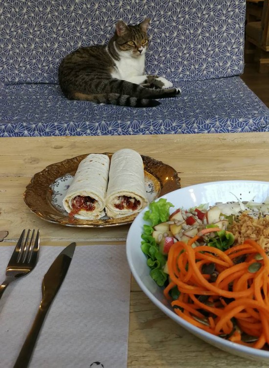 Un café chacrément solidaire !