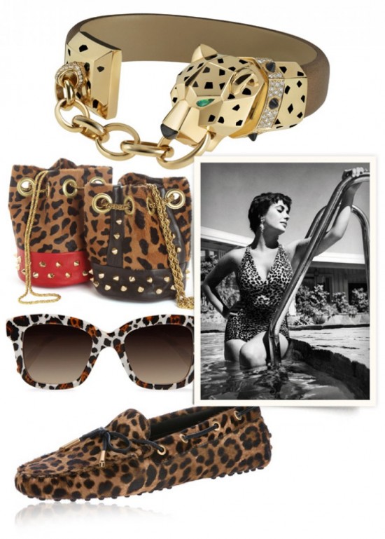 RÈGNE ANIMAL RÈGNE ANIMAL