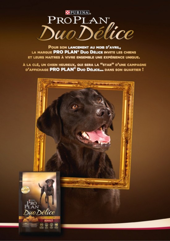 CASTING : EST - CE QUE LE CHIEN LE PLUS HEUREUX EST A LYON ? CASTING : EST - CE QUE LE CHIEN LE PLUS HEUREUX EST A LYON ?