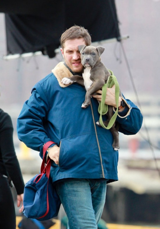 Tom Hardy, sauveur au grand cœur Tom Hardy, sauveur au grand cœur