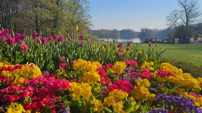 On fait quoi à Lyon ce week-end du 10, 11 et 12 avril ? On fait quoi à Lyon ce week-end du 10, 11 et 12 avril ?