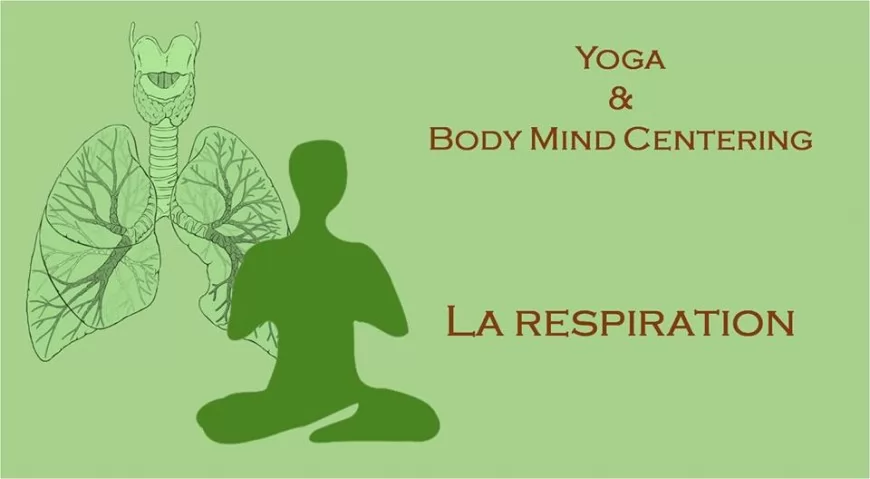 La respiration : Yoga & Body Mind Centering