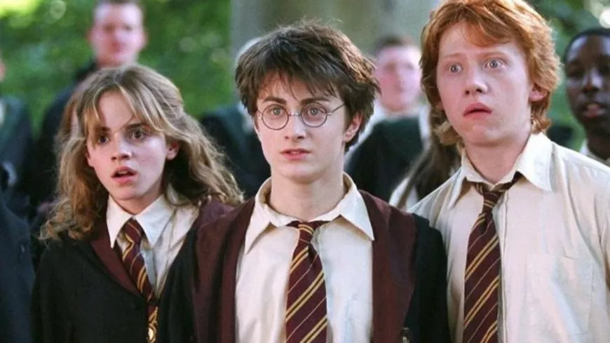 News : Harry Potter, bientôt de retour au cinéma ?