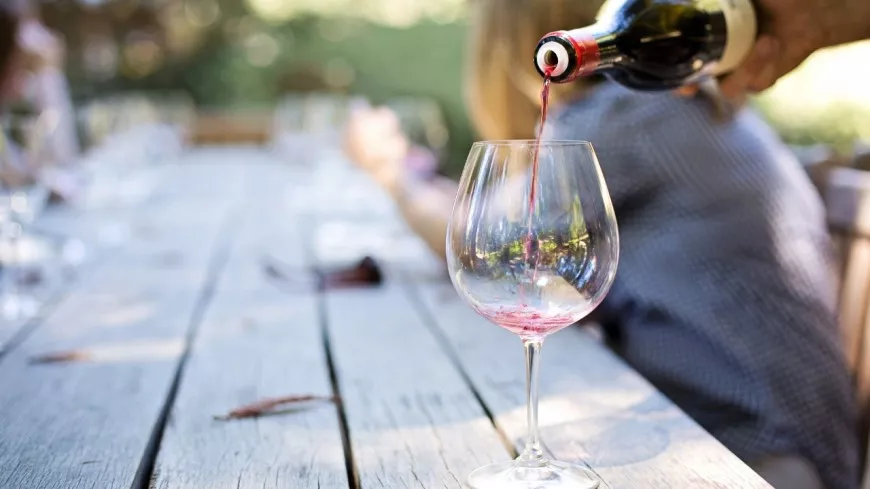 Alerte job de rêve : être payée 8.500 € par mois pour tester des vins et habiter dans un vignoble californien