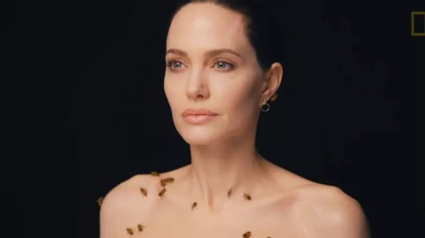 People : Angelina Jolie pose recouverte d'abeilles pour la bonne cause !