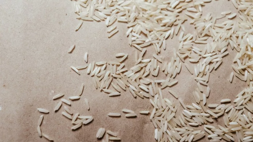 Découvrez les bienfaits de l’eau de riz