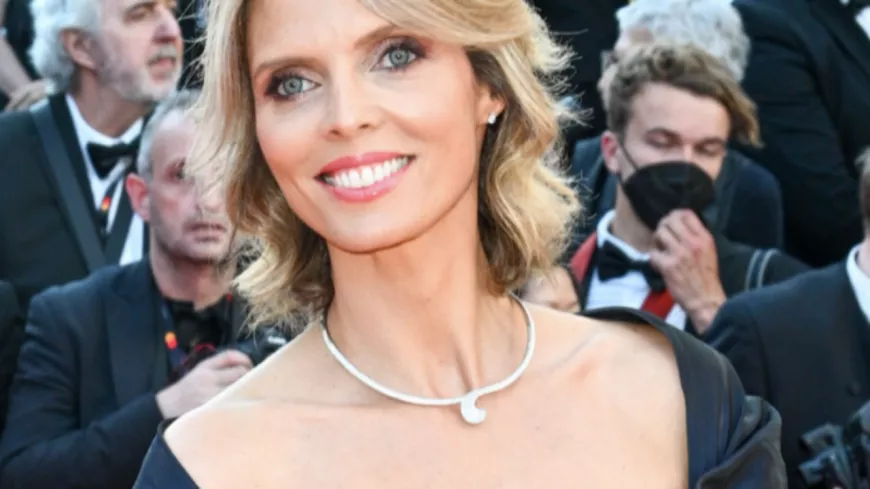 Sylvie Tellier a fait sensation sur le tapis rouge du festival de Cannes