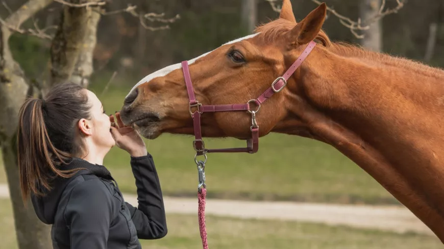 Nina Laurent, la passion au service des chevaux