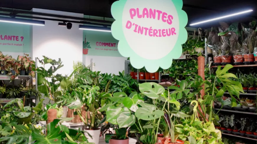 Lyon : une grande vente de plantes à prix mini en plein coeur de la Part-Dieu
