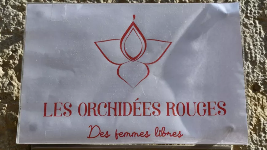 "Un cri du cœur, un véritable SOS" : cette ONG venant en aide aux femmes à Lyon menacée de fermeture