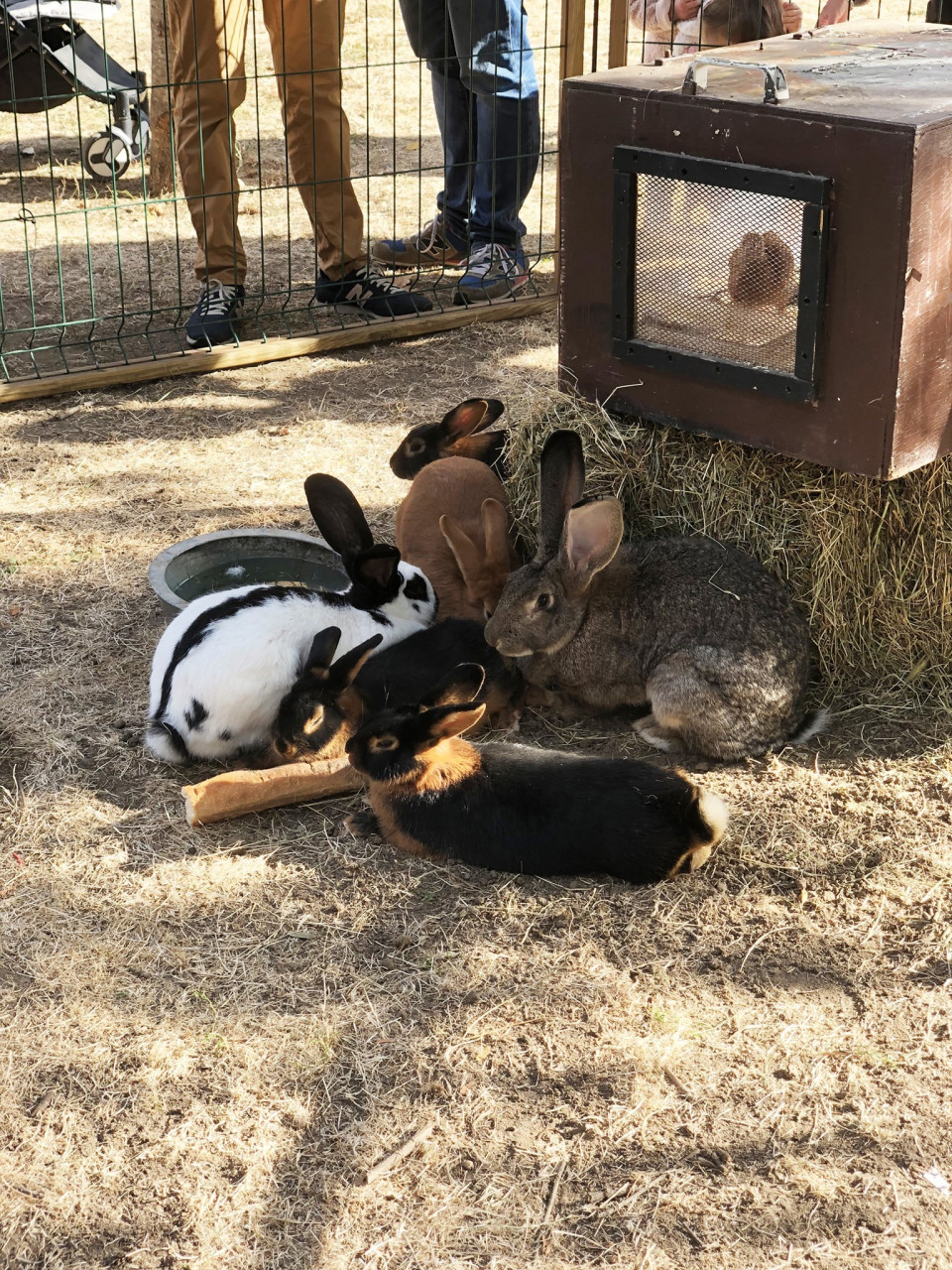Sortie en famille avec La Ferme du Point du Jour