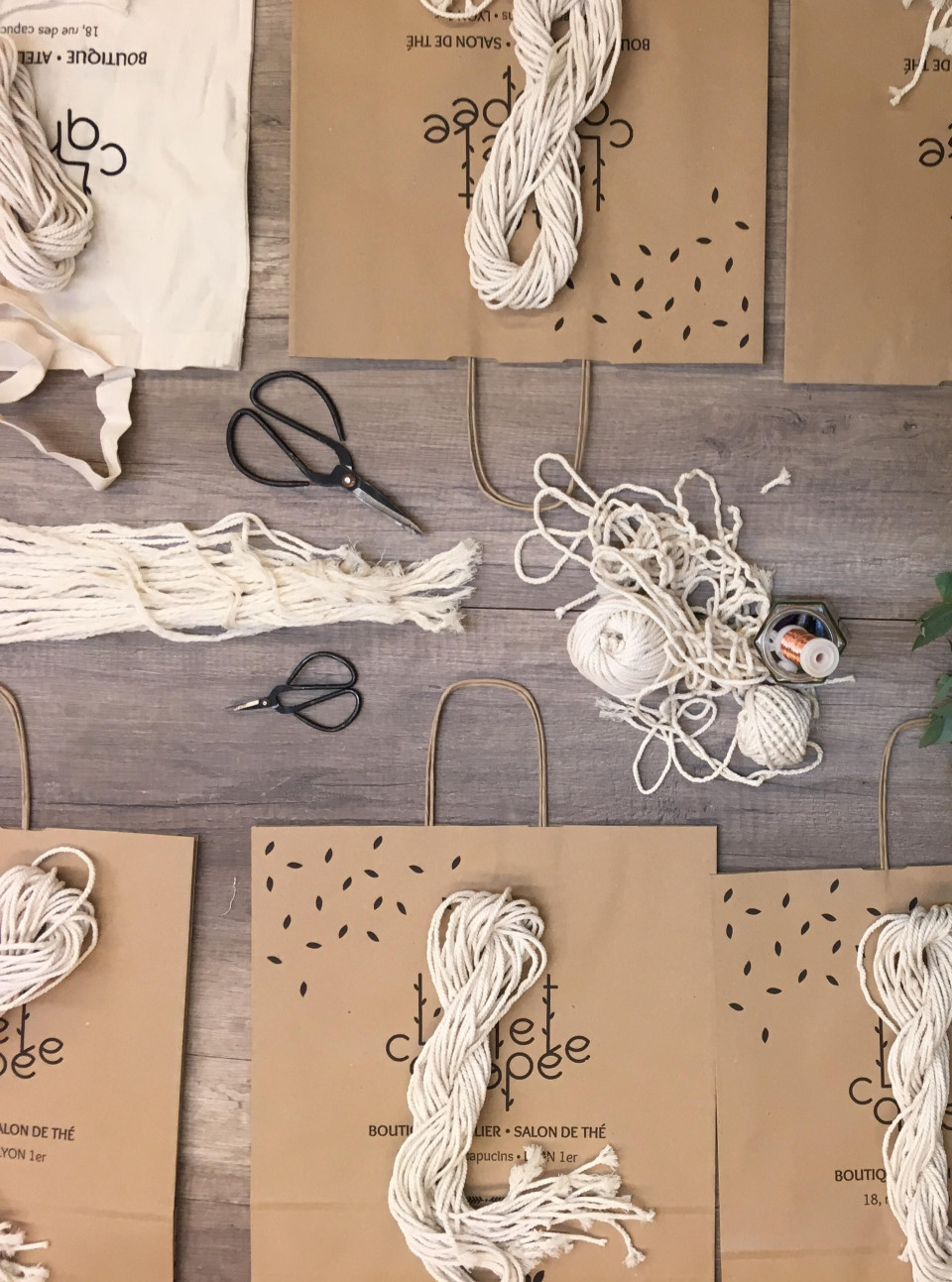 L'effet canopée : trois espaces, un lieu, un univers