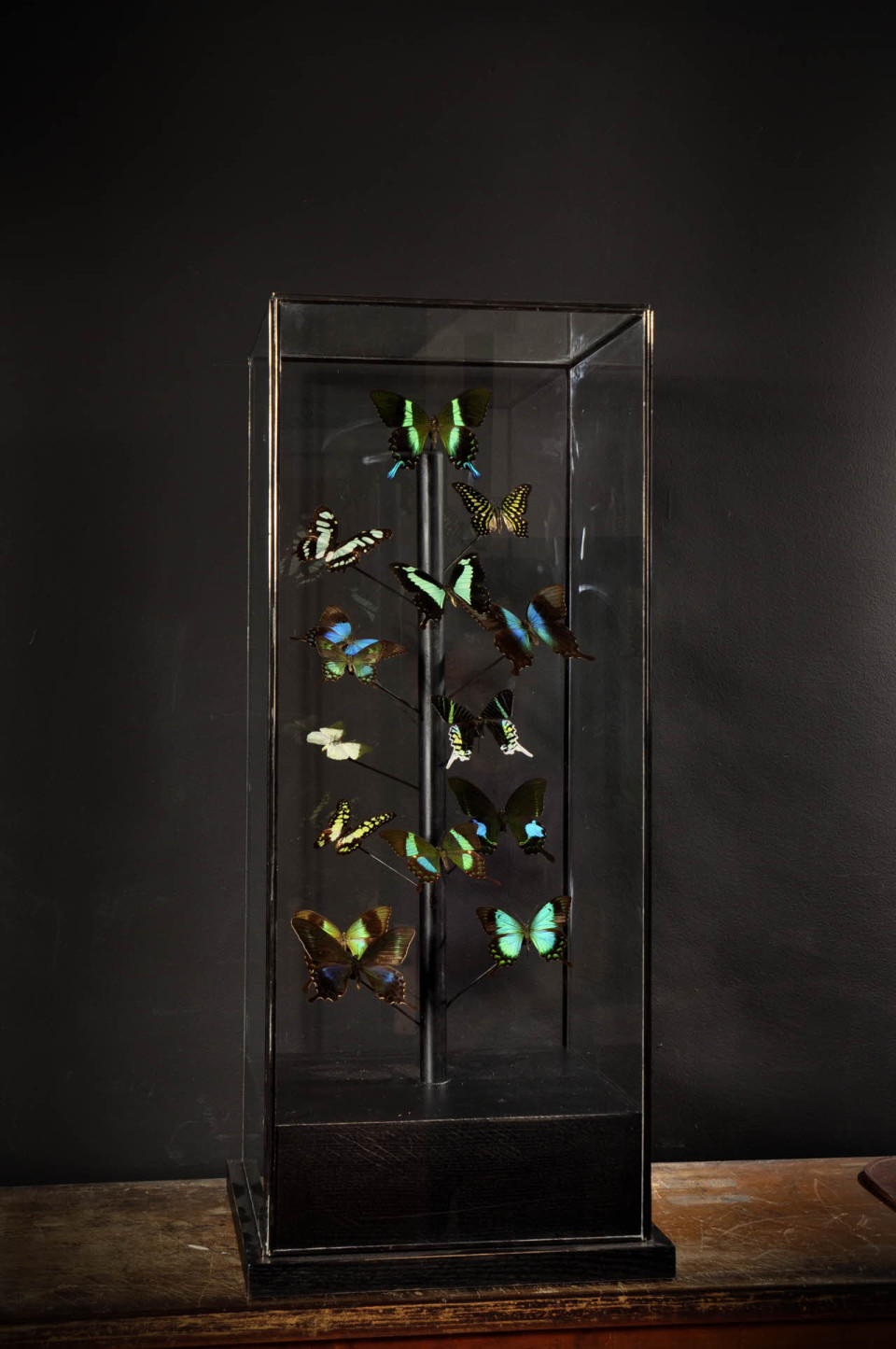 La Galerie des Merveilles de l'Atelier 28