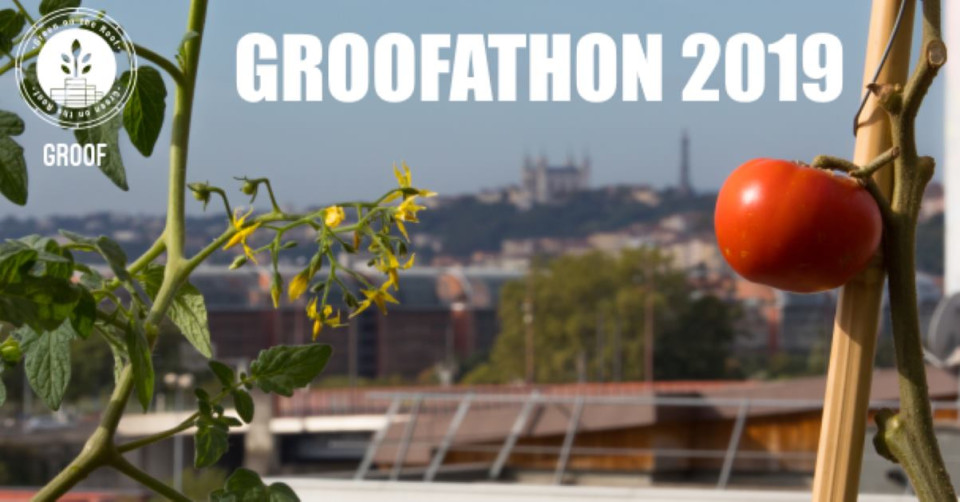 Formation "Découverte des potagers en toitures"