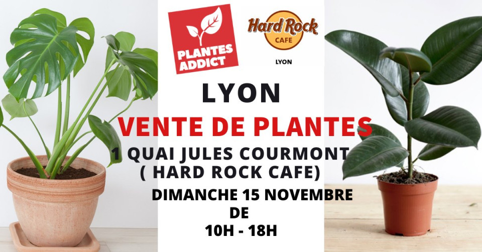 Loisirs : Vente de plantes à partir de 1€ by Plantes Addict