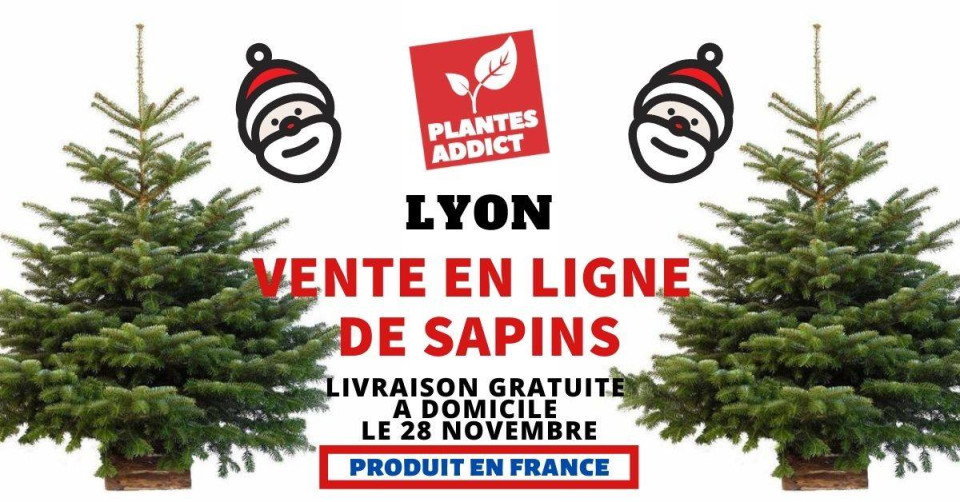 Un sapin dans ton salon (Livraison gratuite Lyon)
