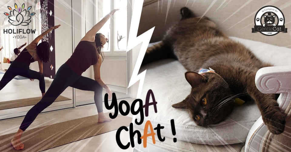 Loisirs : Yoga Chat avec Holiflow