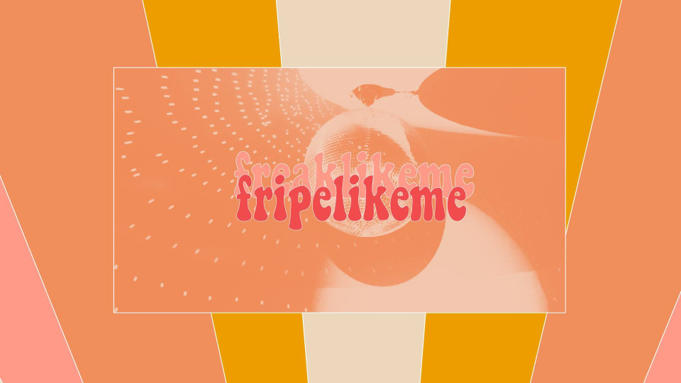 Shopping : Fripe Like Me #1