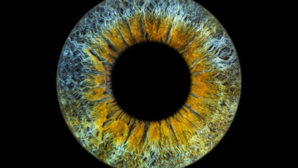 Lyon : Eyemazy, une boutique au concept inédit prend en photo votre iris