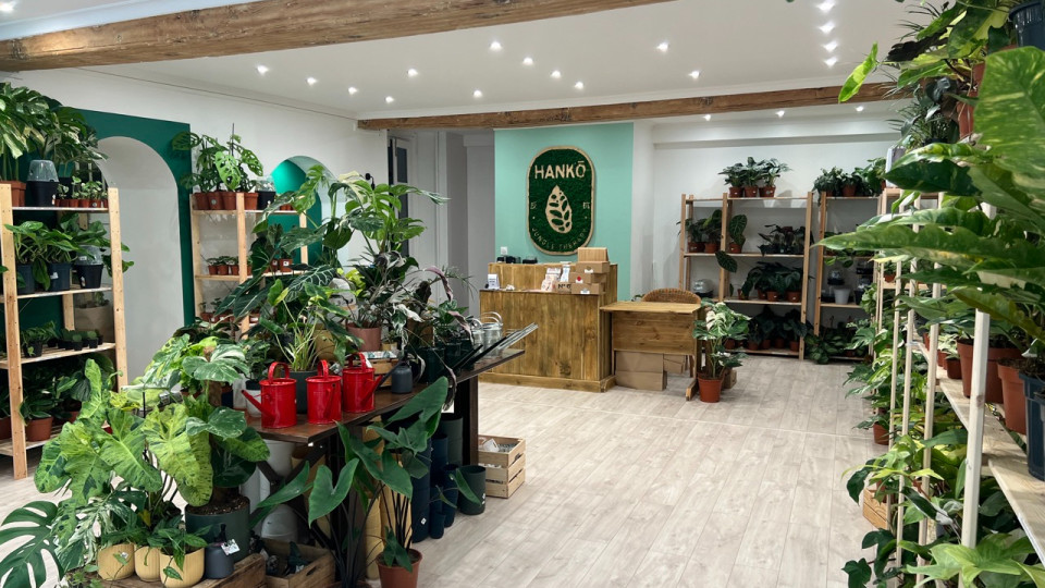 Une "Vogue tropicale" ce samedi en plein cœur de Lyon !