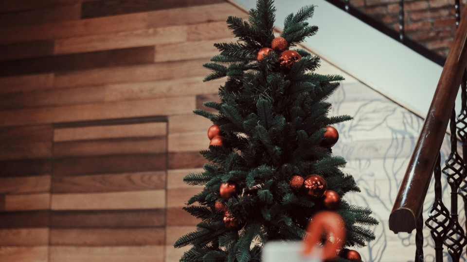 Des sapins de Noël locaux, disponibles à la livraison et en click and collect à Lyon !