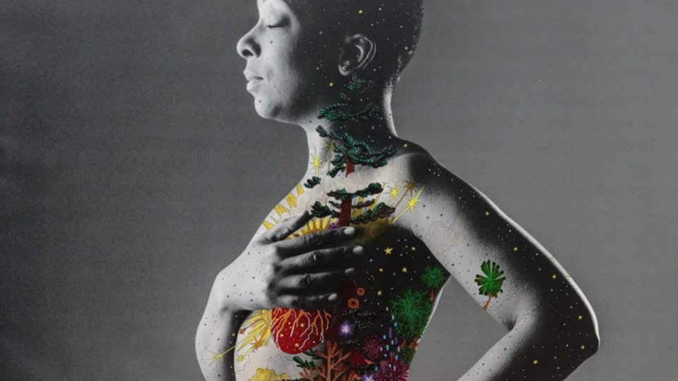 Le projet Vénus à la recherche de modèles pour poser seins nus contre le cancer du sein