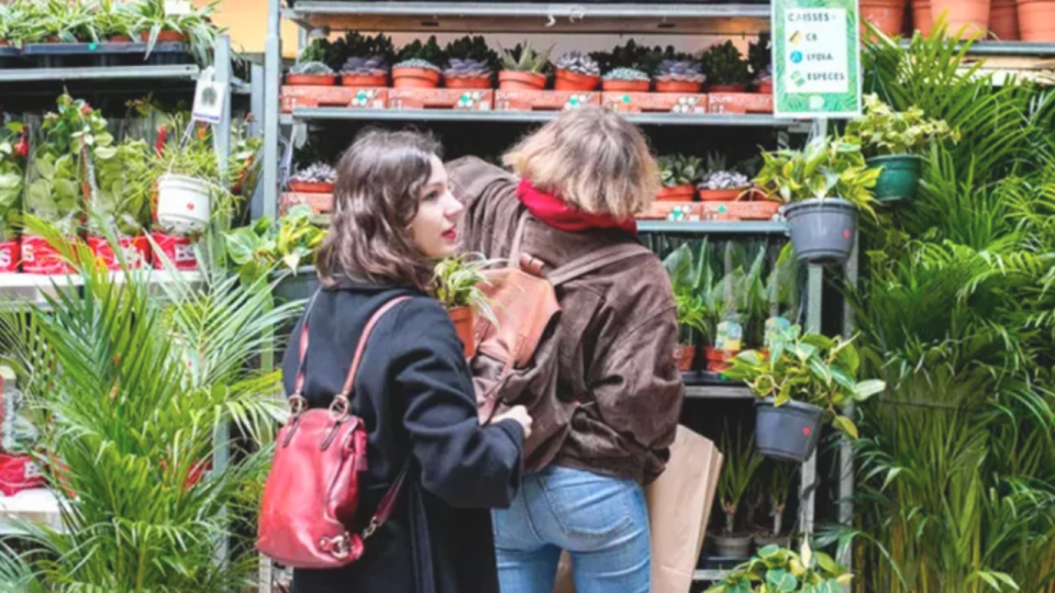 Lyon : une grande vente de plantes à partir de 2 euros ce week-end !