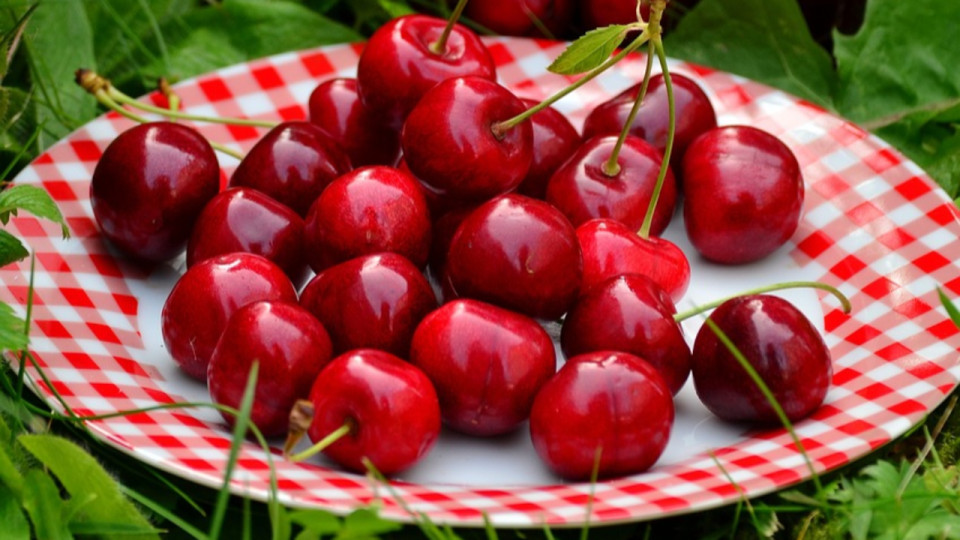 Près de Lyon : un festival familial sur le thème de… la cerise !