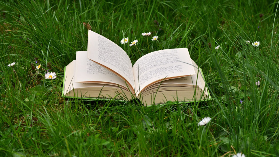 Livres à dévorer cet été : les 10 conseils de la rédac