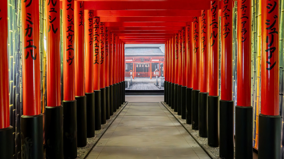 Coup d’envoi à Lyon d’une grande exposition immersive sur le Japon