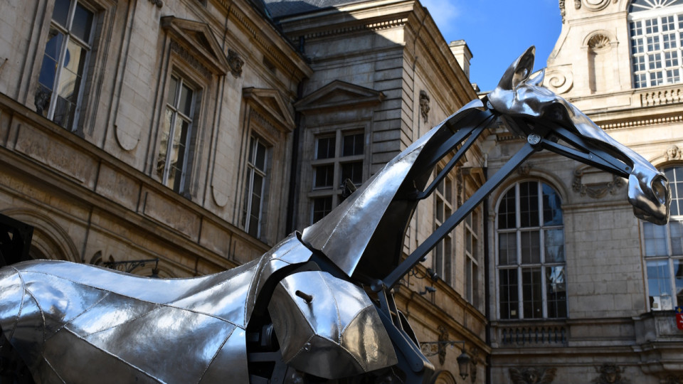 Star de la cérémonie d'ouverture des Jeux Olympiques de Paris, le cheval Zeus s'expose à Lyon (Vidéo)