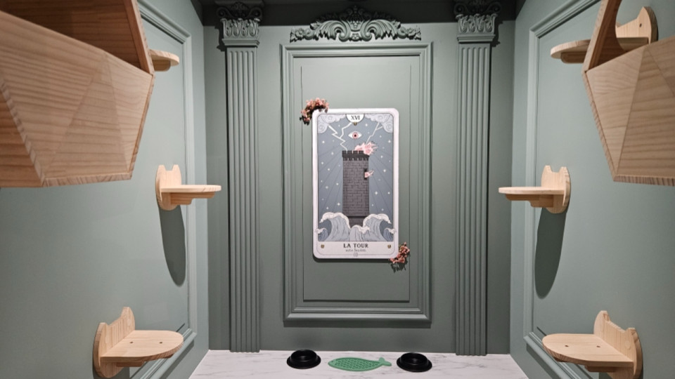 Un hôtel 5 étoiles pour chats vient d’ouvrir à Lyon