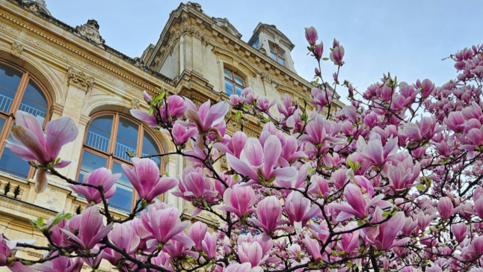 On fait quoi &agrave; Lyon ce week-end du 6, 7 et 8 mars ?