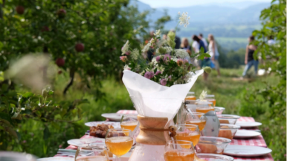 "Champs de Table" : une immersion gourmande et humaine au c&oelig;ur des fermes du Rh&ocirc;ne