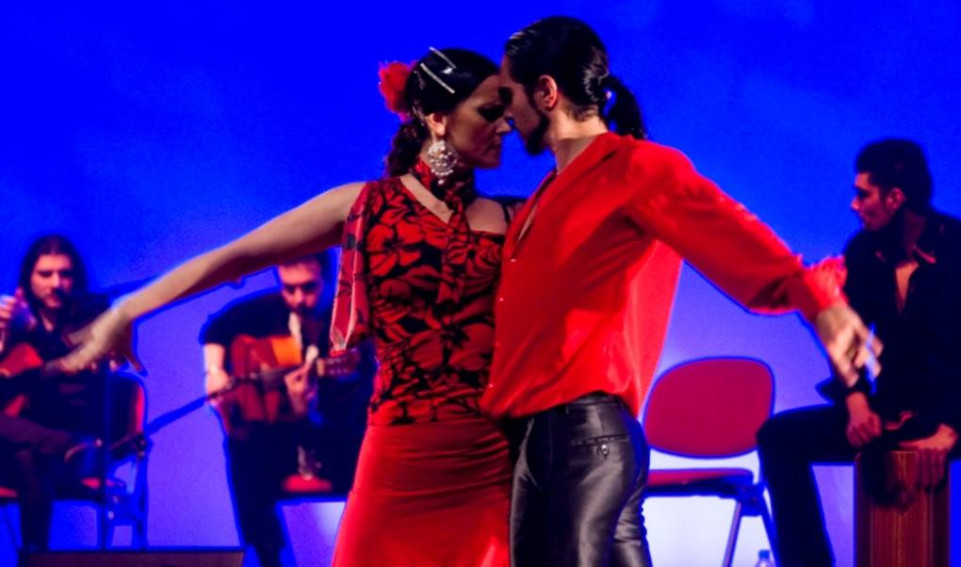 Loisirs : Cours de Danse Flamenco Lyon